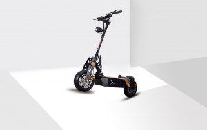 E RUN TROTTINETTE 1000W 36V 12A