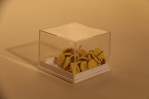 1750 BOITES DE PUNAISES SKEED ODO