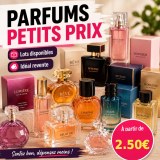 Lot de parfums en gros pour revendeurs – prix attractifs