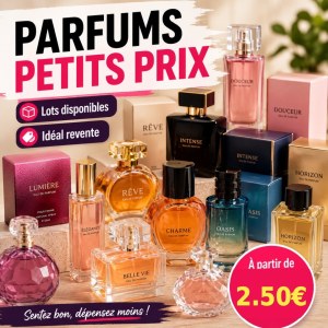 Lot de parfums en gros pour revendeurs – prix attractifs