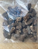 Morilles séchée