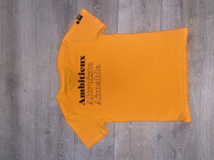 DESTOCKAGE – SWEATS & T-SHIRTS UNI – STOCK NEUF