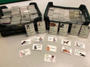 Lot de + de 1300 Magnet chiens et chats