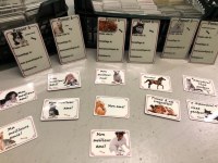 Lot de + de 1300 Magnet chiens et chats