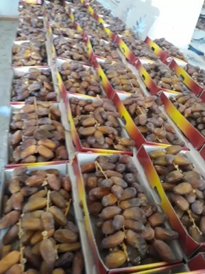 Dattes d algerie