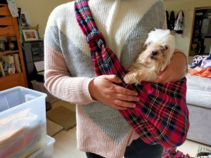 Sac Bandoulière pour Chien