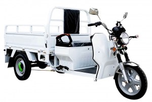 KIREST Fournisseur Scooter Triporteur Tricycle Cargoo500 électrique multifonctions