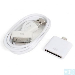 30 Pin Female to Male données sur la foudre et adaptateur de charge avec 30 broches Cab...