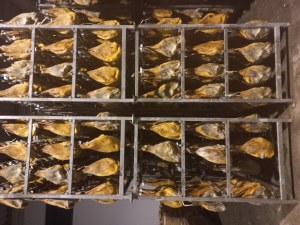 JAMBON EPAULE IBERIQUE