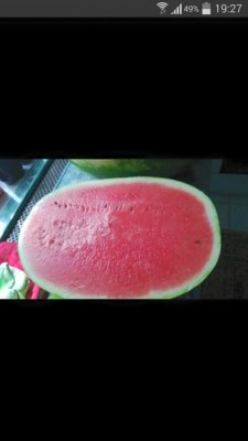 Watermelon morocco