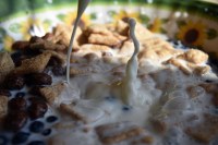 Kellogg's Crunchy Nut 330g – Offre Déstockage Premium