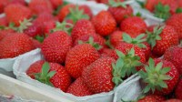 Kellogg's - spécial k barres de céréales aux fruits rouges