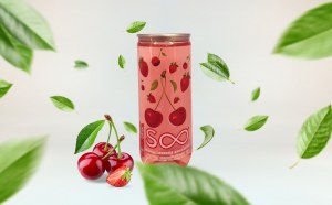 Lot canette transparente boissons aux fruits