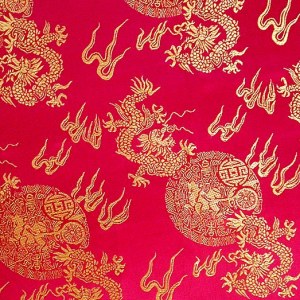 Tissu de brocart au broderie fine - Vente tissus en gros ou moyen quantité (G160)