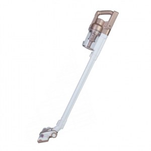 Aspirateur balais électrique sans fil et sans sac 22,2 volts - Royal Swiss