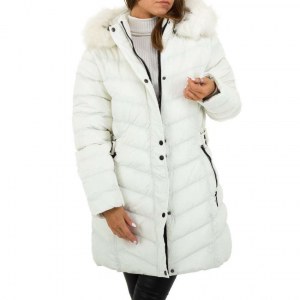 Lot de 10 Parkas Doudounes Vestes Hiver Homme Femme