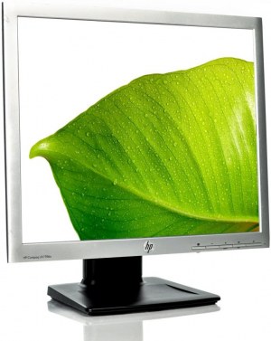Lot Monitors - Ecran Ordinateur 19" HP