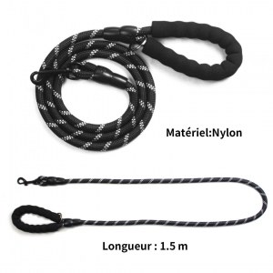 Coffret collier métallique avec laisse nylon réfléchissante pour chien