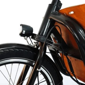 Triporteur Cargo Électrique Neuf (350 W, 36V/13Ah, Freins Hydrauliques)