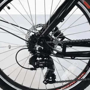 Triporteur Cargo Électrique Neuf (350 W, 36V/13Ah, Freins Hydrauliques)