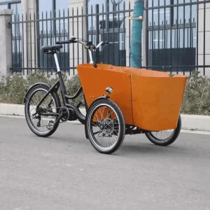 Triporteur Cargo Électrique – 350 W – Neuf, Jamais Utilisé – Freins Hydrauliques – Char...