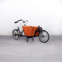 Triporteur Cargo Électrique Neuf (350 W, 36V/13Ah, Freins Hydrauliques)