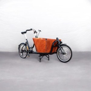 Triporteur Cargo Électrique Neuf (350 W, 36V/13Ah, Freins Hydrauliques)