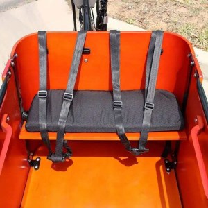 Triporteur Cargo Électrique – 350 W – Neuf, Jamais Utilisé – Freins Hydrauliques – Char...