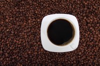 Legal - dosettes de café le café bistrot arabica corsé intensité 9 compatibles senseo