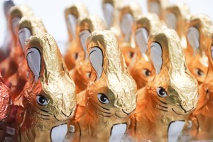Lindt - lapin or moulage chocolat blanc