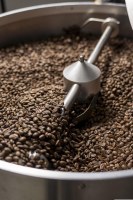 Lipton - thé vert en capsules marrakech mint style compatibles machines nespresso