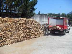 Bois de chauffage sec 100%