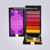 Lot palettes à lèvres nues de marque 12 pièces