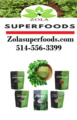 Grossiste au Canada - Moringa Café et Beurre de Karité ..