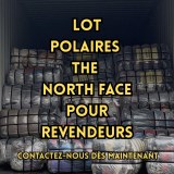 LOT POLAIRES THE NORTH FACE FLEE POUR REVENDEURS