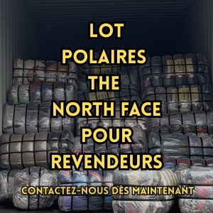 LOT POLAIRES THE NORTH FACE FLEE POUR REVENDEURS
