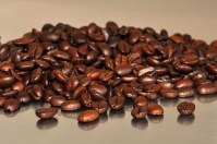 L'or - café moulu absolu arabica intensité 7