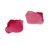 Lot de 40 pétales de roses