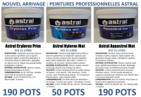 Lot de peinture professionnelle ASTRAL blanc mat pot de 15 litres