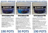 Lot de peinture professionnelle ASTRAL blanc mat pot de 15 litres