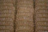 Lotus - biscoff speculoos à tartiner creamy