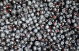 Lucien georgelin - confiture allégée à la myrtille cuite au chaudron