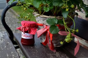 Lucien georgelin - confiture de fraise bio cuite aux pommes et au chaudron