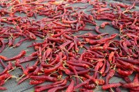 Lucien georgelin - pâté basque au piment d'espelette