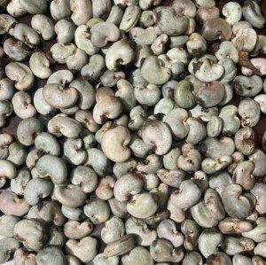 Achats et ventes des produits tropicaux : Soja bio et/ou conventionnel, Graines de néré...