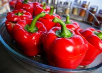 Maayane - poivrons rouges et verts grillés casher