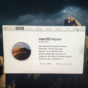 LOT Imac 27" Retina 5k Core i5 RAM 32 Go Stockage 1 TO