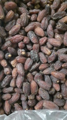 DATTE ARABIE SAOUDITE