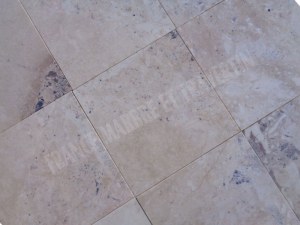 Marbre Marfil Beige Silver Shell 30,5x30,5x1 cm