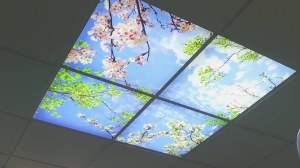 Vente activité de dalles LED ciel